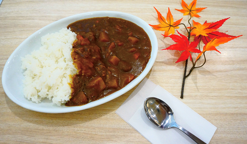 九州基山高速公路休息站販售的基山鄉下口味咖哩飯(基山の田舎カレーライス)